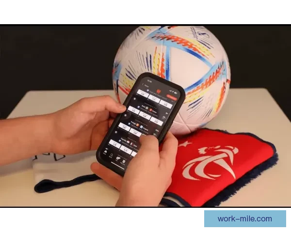 世界杯官方发布数字球迷护照 助力全球粉丝轻松参与赛事互动体验